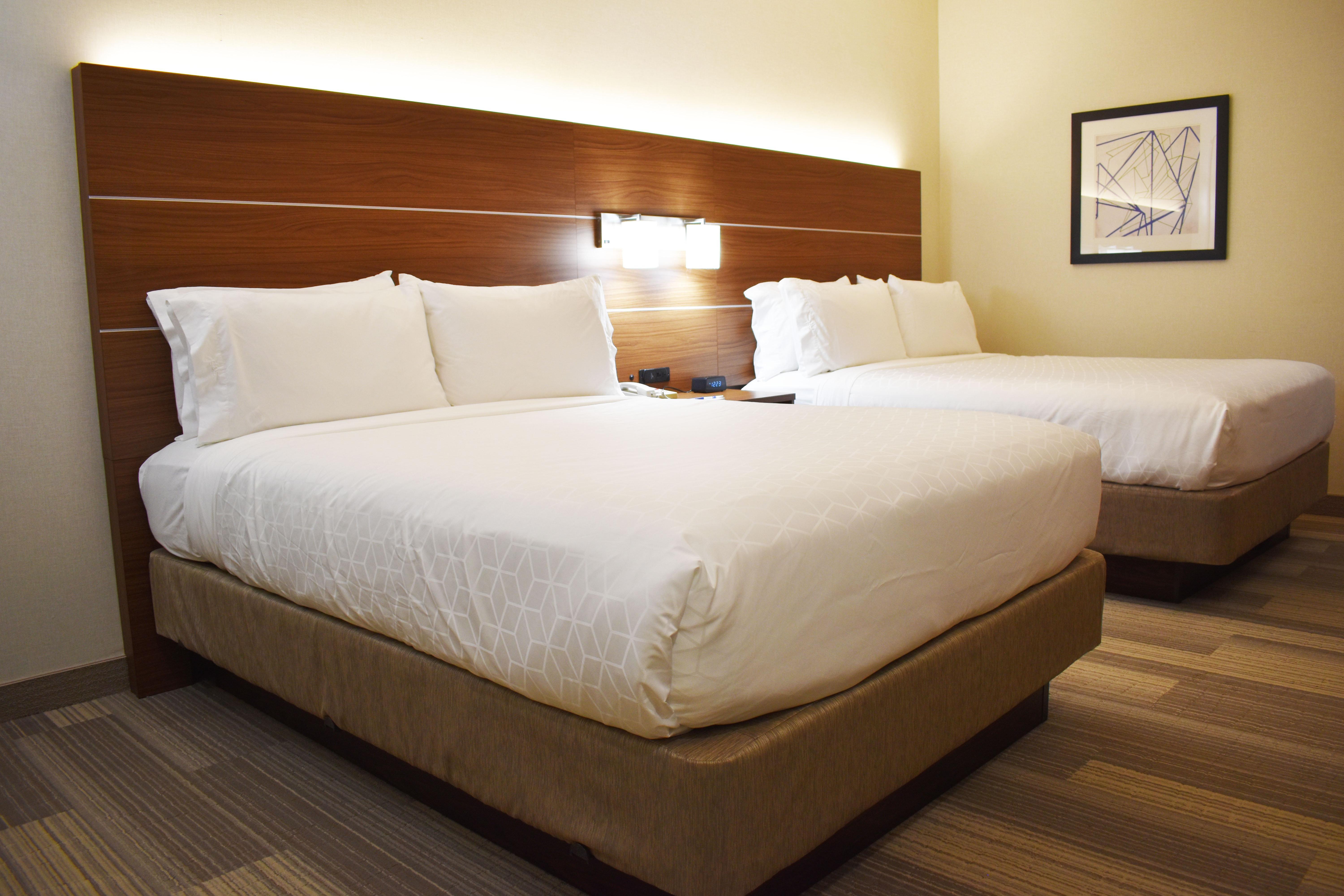 Holiday Inn Express Hotel & Suites Albany By Ihg Εξωτερικό φωτογραφία